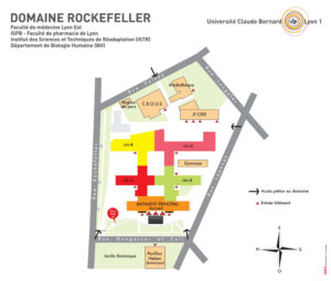 univlyon1-plandomainerockefeller